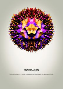 海報(bào)廣告設(shè)計(jì) 視覺(jué)與信息的藝術(shù)融合